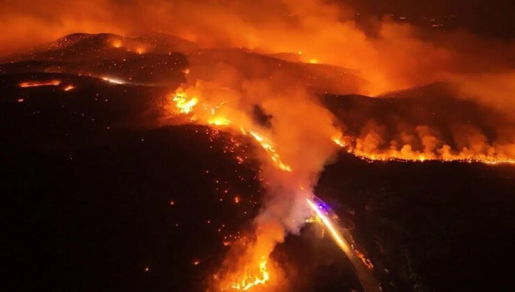 Türkiye’nin ciğerleri yanıyor: Orman yangınları neden söndürülemiyor?