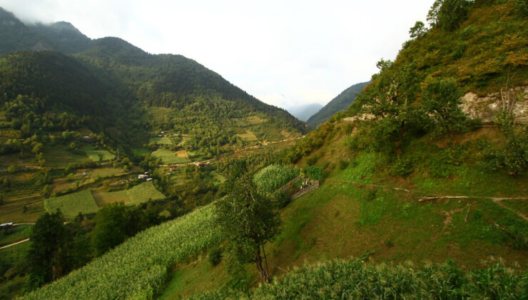 Türkiye’nin saklı cenneti Macahel Vadisi doğası ile büyülüyor