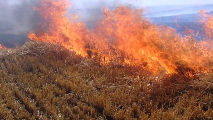 TZOB Genel Başkanı Şemsi Bayraktar: ‘Yangınların önemli nedenlerinden biri de anız yangınlarıdır’