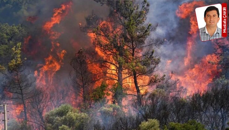 Uçak ve helikopter sayısı geçen yıldan bu yana değişmedi: Yangınlar büyüyor, filo aynı!