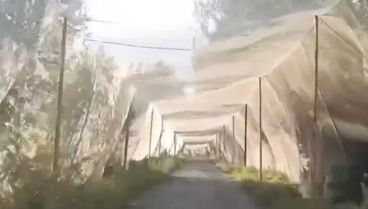 Ukrayna’dan yeni hamle: Cephe hattı yakınında anti-drone koridorları inşa edildi