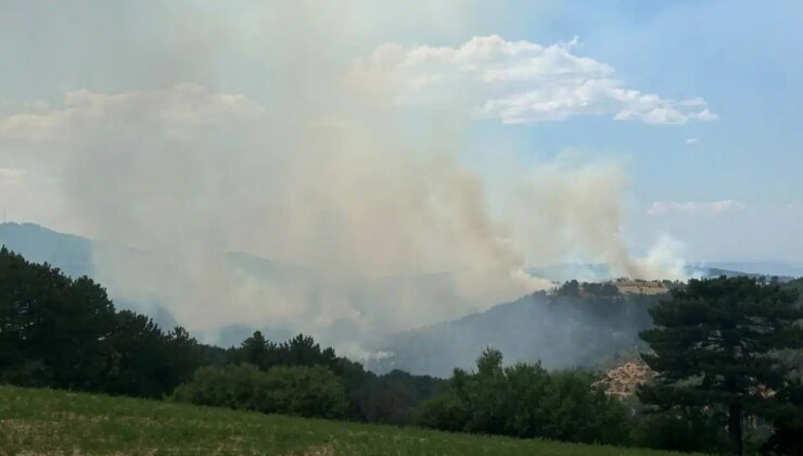 Uşak’ta orman yangını: Ekipler müdahale ediyor!