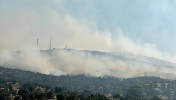 Uşak’ta orman yangınına neden olan iki kardeş hakkında karar verildi!