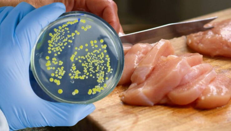 Uzmanlardan sıcak havalarda artan ‘Salmonella’ bakterisi uyarısı