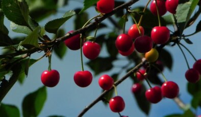 Veriler açıklandı: Haziran ayı zam şampiyonu belli oldu!