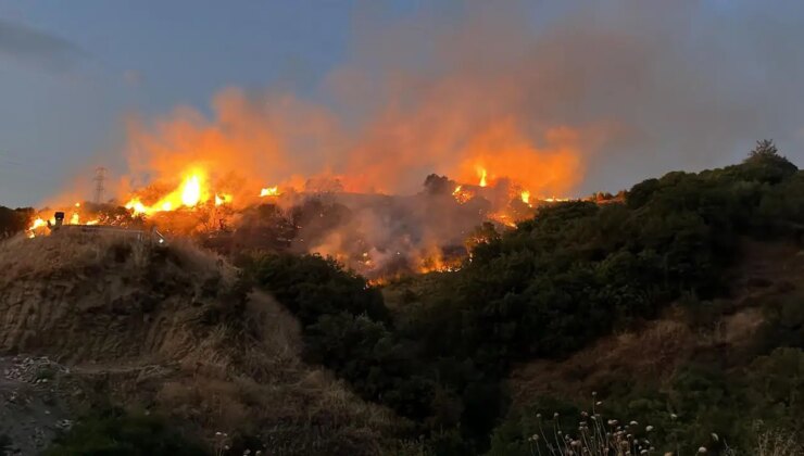 Yangın, üzerinde kene bulunan yastığı yaktığı için çıkmış!