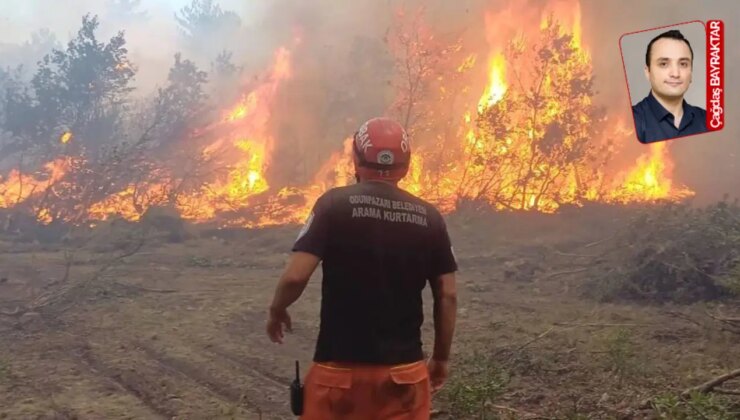 Yasalar ormanı korumuyor: THK’de 3 uçak kullanılmıyor!