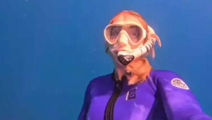 Yasemin Kay Allen’in bitmeyen tatili! Bu defa okyanusa girdi