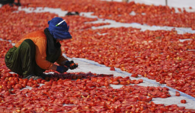 Yılın ilk yarısında kurutulmuş domatesten 95 milyon dolar kazanç
