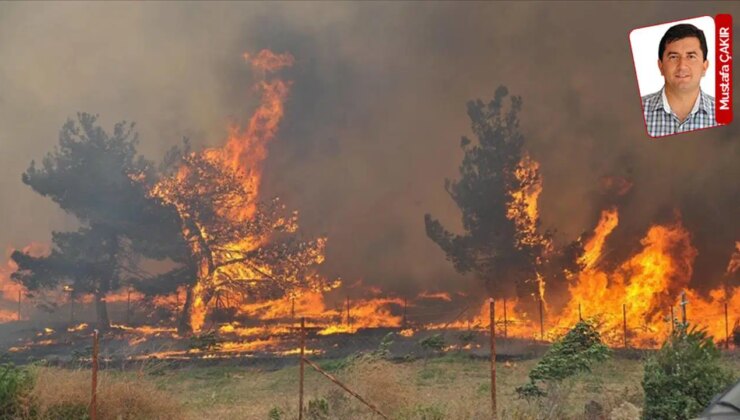 Yurdun dört bir yanından yangın haberleri geliyor: 4 etkene dikkat
