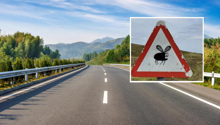 Yurt dışında yeni trafik levhası sürücüleri şaşırttı: İşte anlamı