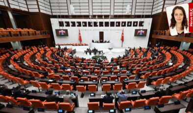 Zeytinliklerin ‘madencilik faaliyetlerine açılmasını’ içeren yasa teklifi Meclis’ten geçti!