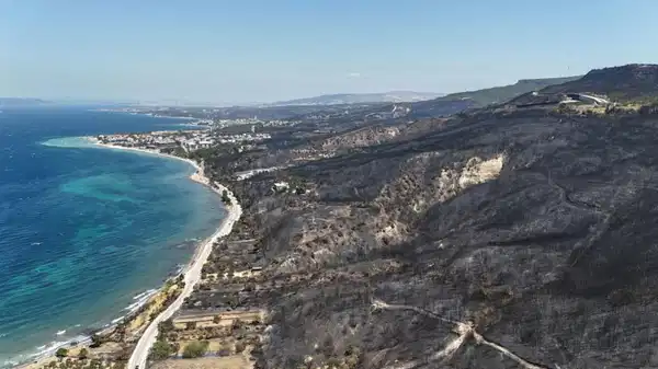 2. günde söndürüldü: Çanakkale’deki orman yangınının ardından acı görüntü…