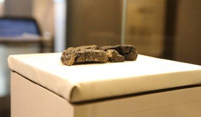 5 bin yıllık ekmek bulunmuştu: Fransız maya şirketi sponsor oldu