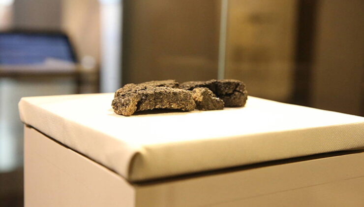 5 bin yıllık ekmek bulunmuştu: Fransız maya şirketi sponsor oldu