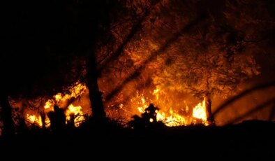 6 ilde orman yangınları sürüyor… İşte an an son durum!