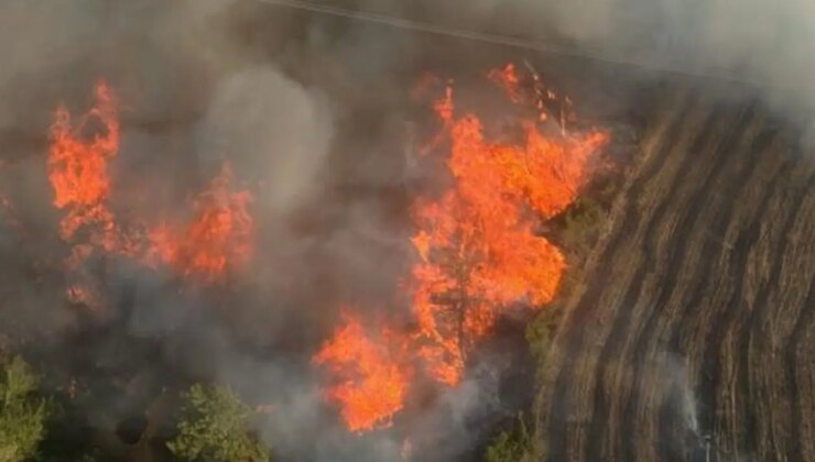 8 saatin ardından… Adana’da çıkan orman yangını kontrol altında