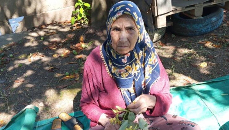 81 yaşındaki kadın her yerde aranıyor