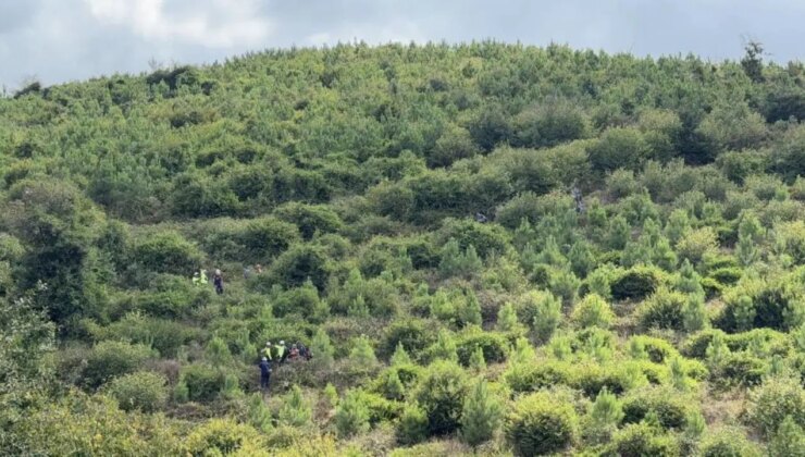90 yaşındaki adam ormanlık alanda ölü bulundu!
