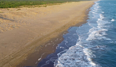 AB Raporu: Türkiye çevresindeki denizlerde sıcaklık tarihi zirvede