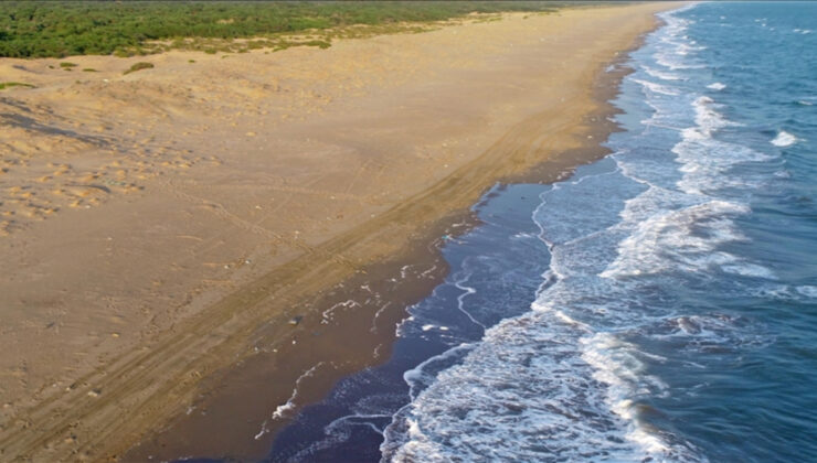 AB Raporu: Türkiye çevresindeki denizlerde sıcaklık tarihi zirvede