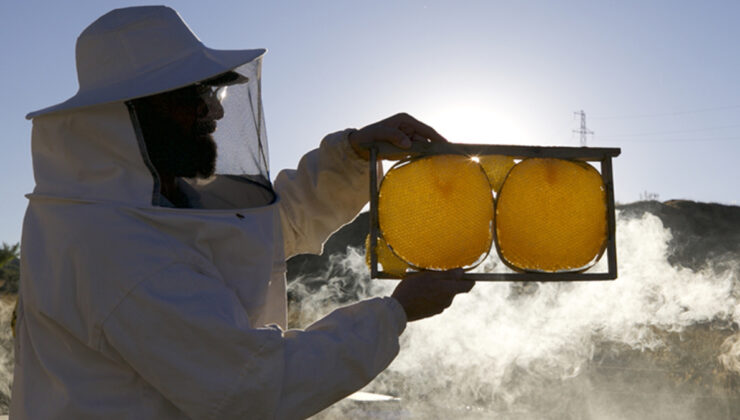 AB tescilli Bingöl balı yurt dışına açılıyor