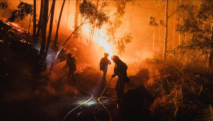 AB, yakın tarihinin en büyük orman yangınları sezonunu yaşadı