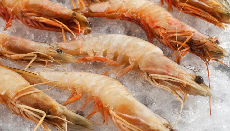 ABD’de radyoaktif karides alarmı: 9 eyalette ürünler geri çağrıldı
