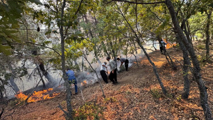 Adana’da orman yangını!