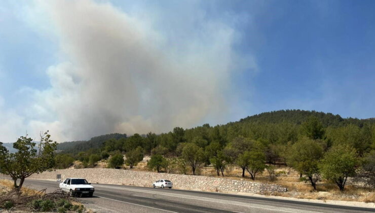 Adıyaman’da orman yangını!