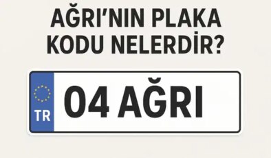 Ağrı’nın plaka kodu ne? Ağrı’nın plaka numarası kaç? Ağrı ve ilçelerinin plaka harfleri…