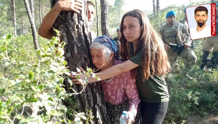 Akbelen’in ‘ÇED kapsam dışı’ kararına Danıştay’dan ret!