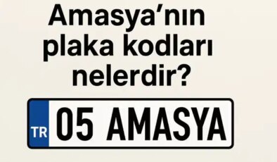 Amasya’nın plaka kodu ne? Amasya’nın plaka numarası kaç? Amasya ve ilçelerinin plaka harfleri…