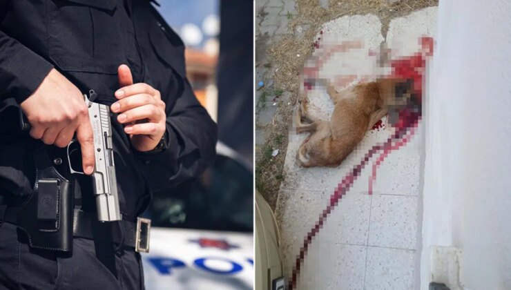 Ankara’da polis, kendisine saldırdığını iddia ettiği köpeği tabancayla öldürdü