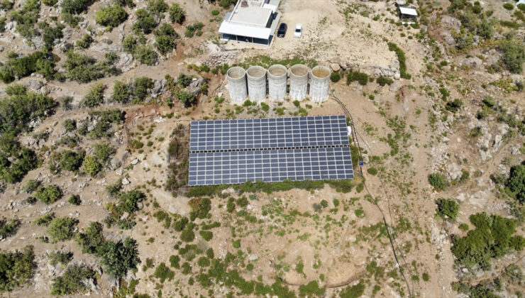 Antalya’da tropikal meyve bahçesi ve güneş enerjisi yatırımı bir arada