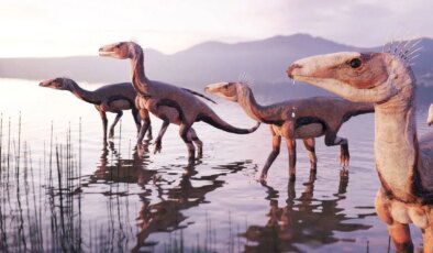 Araştırma: 225 milyon yıllık keşif evrim tarihini değiştiriyor