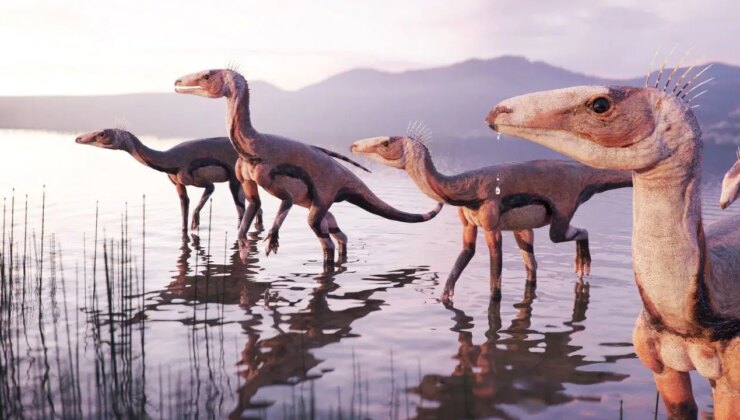 Araştırma: 225 milyon yıllık keşif evrim tarihini değiştiriyor