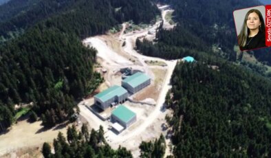 Artvin’de mahkeme iptaline karşın ısrar eden Cengiz’in onay aşamasında sona gelindi: Cerattepe’yi bırakmıyor