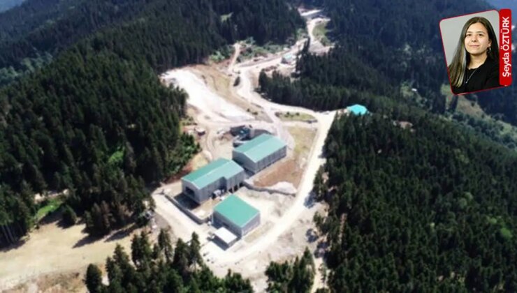 Artvin’de mahkeme iptaline karşın ısrar eden Cengiz’in onay aşamasında sona gelindi: Cerattepe’yi bırakmıyor