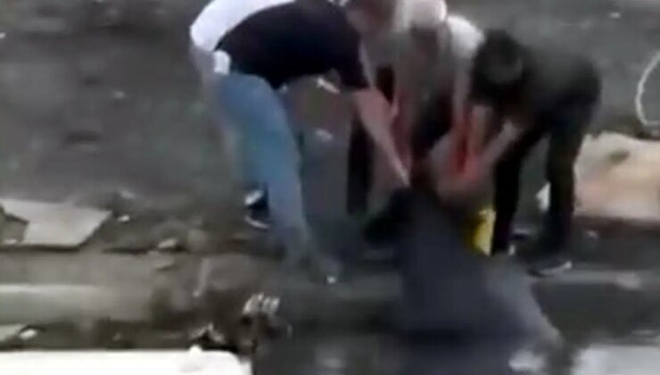 Avcılar’da otluk alanda yangın çıktı, ineğini kurtarmak için gölete soktu