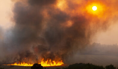 Avrupa’da, orman yangınları ile mücadele: Ülkeler uluslararası yardım talep ediyor
