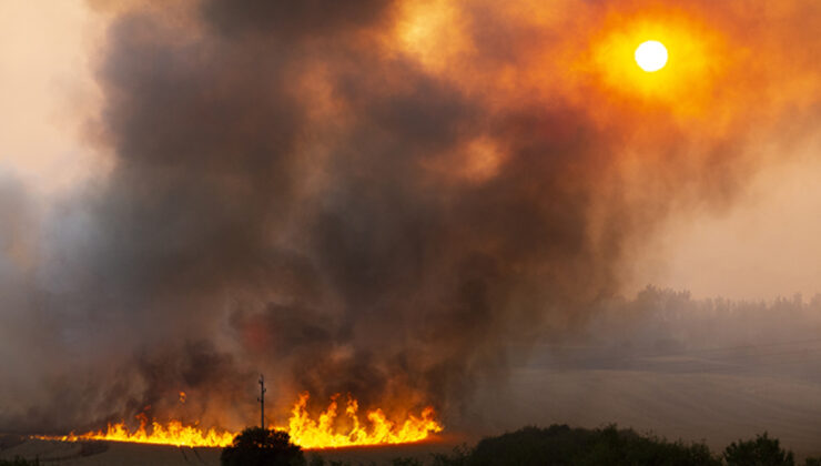 Avrupa’da, orman yangınları ile mücadele: Ülkeler uluslararası yardım talep ediyor
