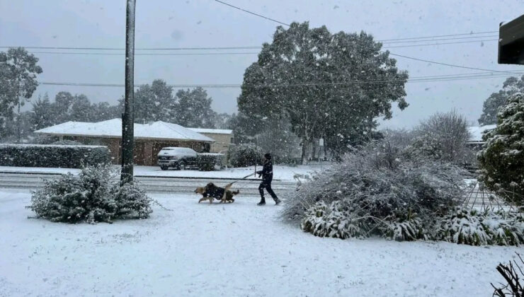 Avustralya son 45 yılın en sert kışını yaşıyor