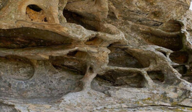 Aydın’da 8 bin yıllık keşif: Resimli kaya ‘sit alanı’ ilan edildi