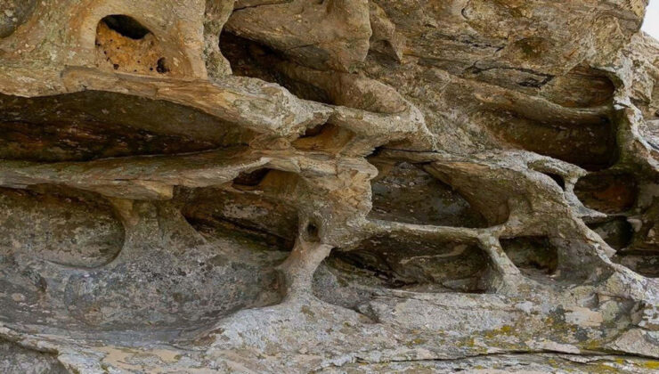 Aydın’da 8 bin yıllık keşif: Resimli kaya ‘sit alanı’ ilan edildi