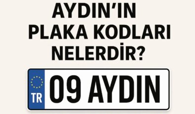 Aydın’ın plaka kodu ne? Aydın’ın plaka numarası kaç? Aydın ve ilçelerinin plaka harfleri…