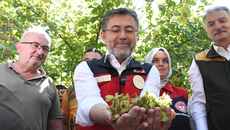 Bakan Yumaklı: Fındıkta zirai don zararı için 2,3 milyar lira tazminat ödenecek