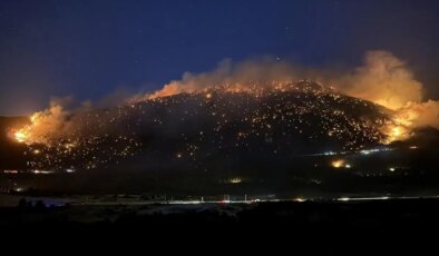Bakanlık açıkladı: Denizli’deki orman yangınında son durum!