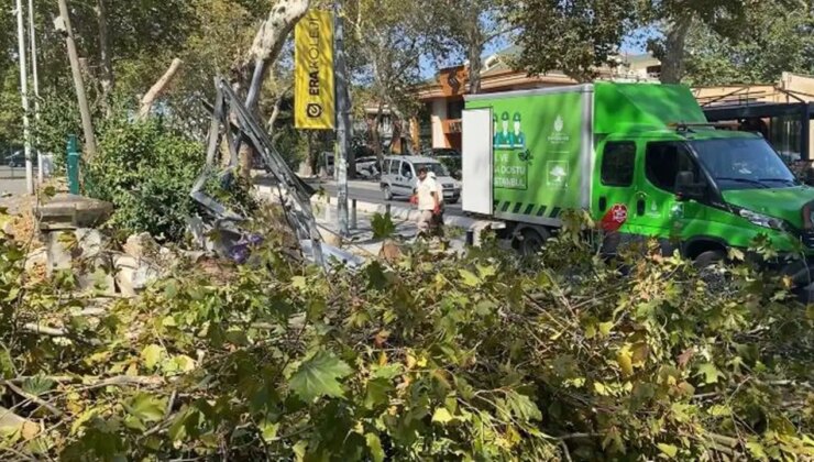 Bakırköy’de rüzgarın etkisiyle ağaç devrildi!