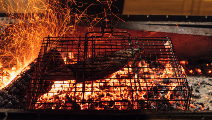 Balıkseverler için cennet: Türkiye’nin zengin denizleri